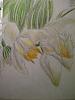 More Orchid Drawings-drawings-001-jpg