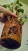 is this dendrobium nobile too root bound ?-img_20150419_213304572-jpg