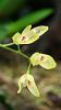 Warm orchidarium 750l-uploadfromtaptalk1449004352618-jpg