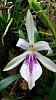 Warm orchidarium 750l-uploadfromtaptalk1449004383292-jpg