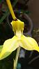 Cold orchidarium 150l-uploadfromtaptalk1449006249535-jpg