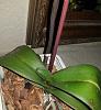 Help!am I loosing my whole orchid collection?Fungus?Bacterial? Rot?-zorchid5-jpg