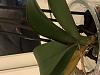 Phalaenopsis hybrid yellow and fallen bottom leaves, black spots on top leaves-4b4c638e-0185-4dd7-8480-0f98dc4bc4e5-jpg