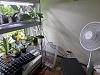 Advice for winterizing this grow setup-img_4380-jpg