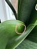 Need help identifying these spots on Phalaenopsis leaves-93312de7-5c36-43a0-91ca-3b8deceb8ee9-jpg