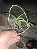 is this a trichoglottis? how do i care for it?-whatsapp-image-2024-01-28-21-16-46_58730d2c-jpg
