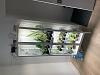 My IKEA Milsbo Orchid Cabinet-image0-1-jpg