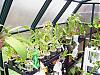 New Bloomers-greenhouse-jpg