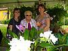 Bonnet House Orchid Fair Dec 6-7!!!-img_2433-jpg