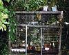 Orchid cage for summering out.-cage-jpg