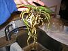 Should I repot these orchids with root rot?-p1010152-jpg