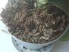 help with my phalaenopsis-img00856-jpg