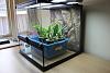 My Orchid Terrarium Progress-img_1219-jpg