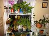 Windowsill Section in &quot;STYLES, SETUPS &amp; ENCLOSURES&quot;?-window1-jpg