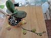 Save My phalaenopsis-dsc02409-jpg