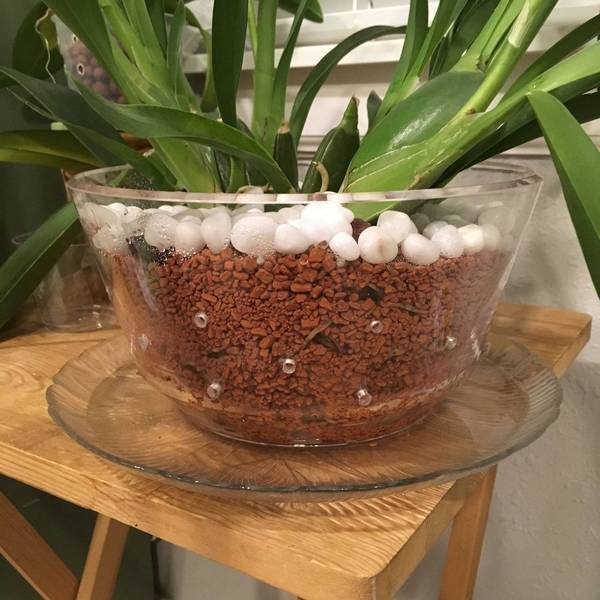 Homemade Acrylic Orchid Pot