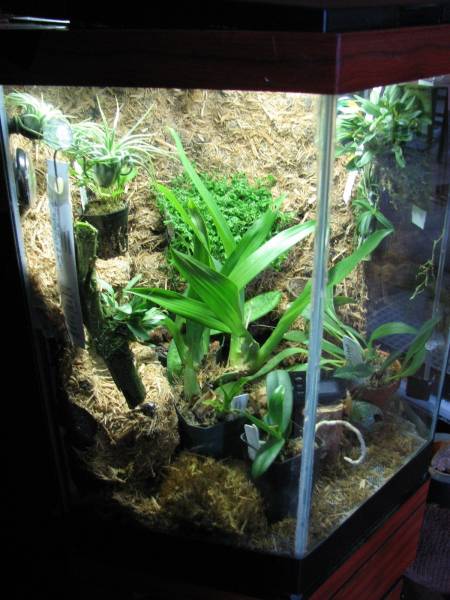 TERRARIUM PICTURES