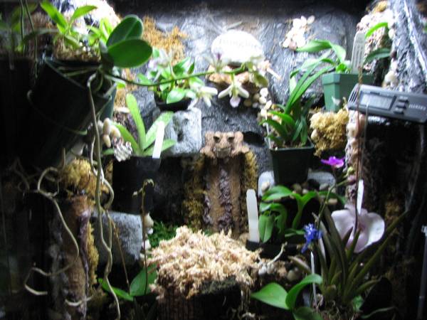 TERRARIUM PICTURES