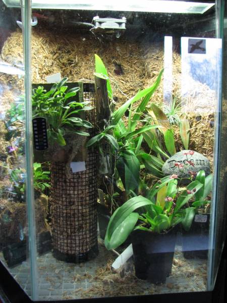 TERRARIUM PICTURES