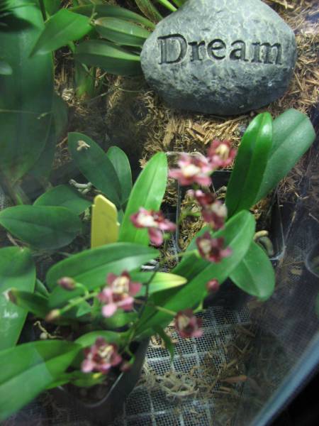 TERRARIUM PICTURES