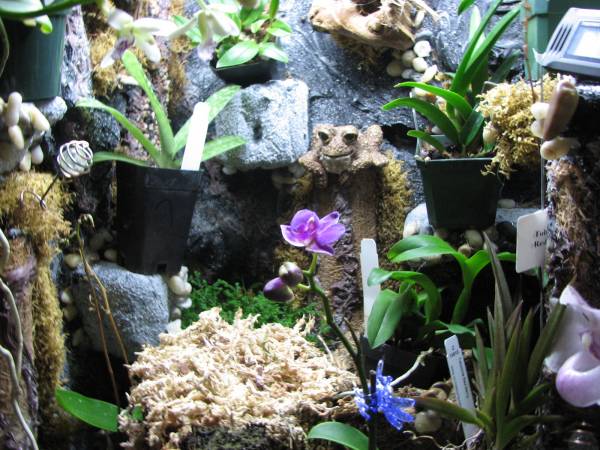 TERRARIUM PICTURES