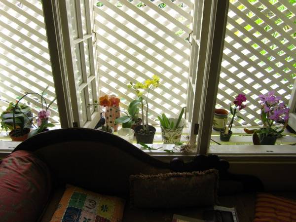 My french window area