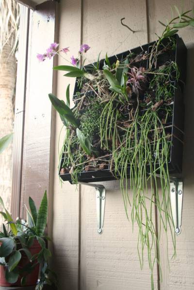 Vertical orchid wall art