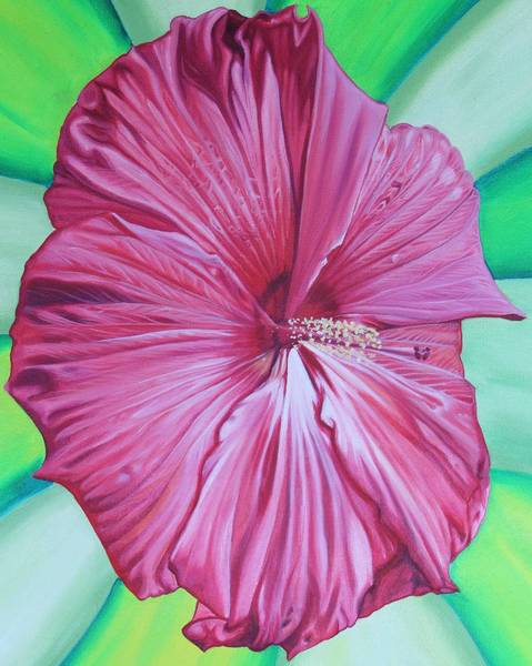 Pinwheel Hibiscus (oil painting)