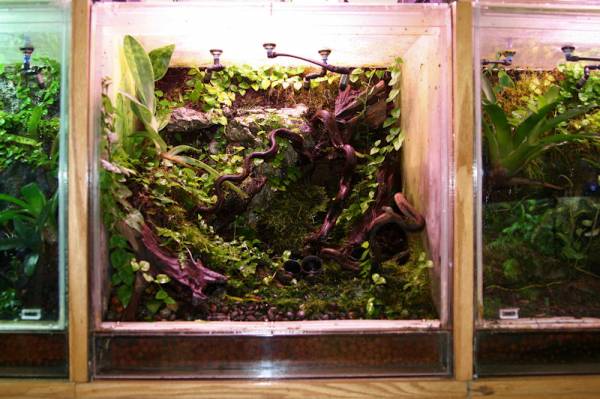 vivarium