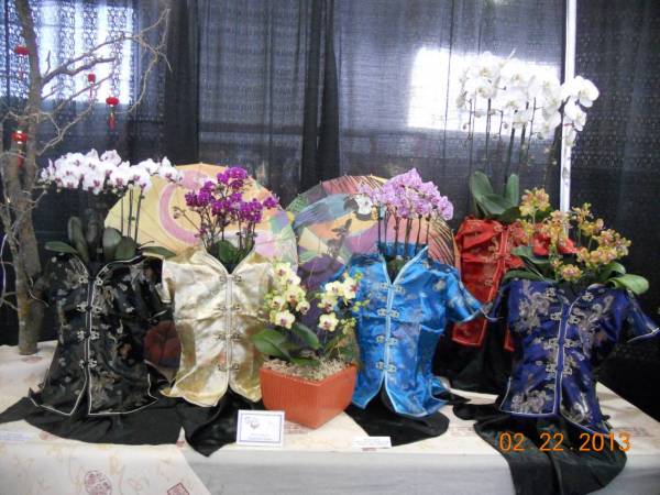 Pacific Orchid Expo 2013