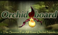 99% DIY Orchidarium Project