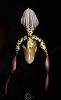 Opinions- what is the best pink paphiopedilum? Please share pictures!-paph-lebaudyanum-1st-bloom-jpg