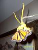 Monarch and Psychopsis-lol-020-jpg